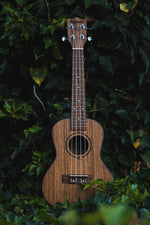 Load image into Gallery viewer, Kunde Mars 23" - Kunde Brand
