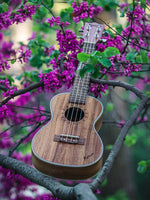 Load image into Gallery viewer, Kunde Moon 23" - Kunde Brand
