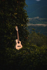 Load image into Gallery viewer, Kunde Saturn 26" EQ - Kunde Brand
