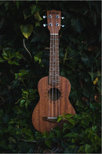 Load image into Gallery viewer, Kunde Sun 21" - Kunde Brand
