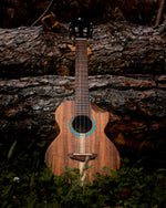 Load image into Gallery viewer, Kunde Venus 26" EQ - Kunde Brand
